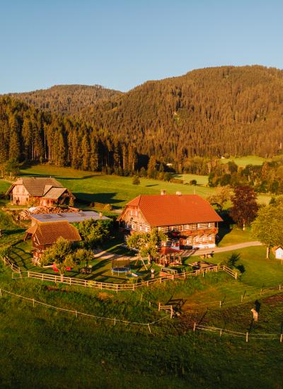 Nagerhof drohne 2-4 Nagerhof drohne 2-4