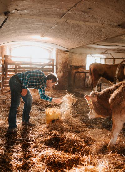 Web Nagerhof - Urlaub am Bauernhof - Werbefotograf Daniela Ebner (20 von 98) Web Nagerhof - Urlaub am Bauernhof - Werbefotograf Daniela Ebner (20 von 98)