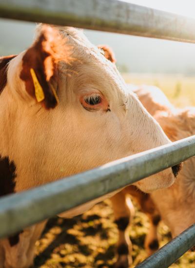 Nagerhof 2-14 Nagerhof 2-14