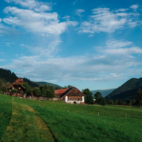 Nagerhof-81 Nagerhof-81